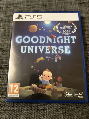 Goodnight Universe PS5 game