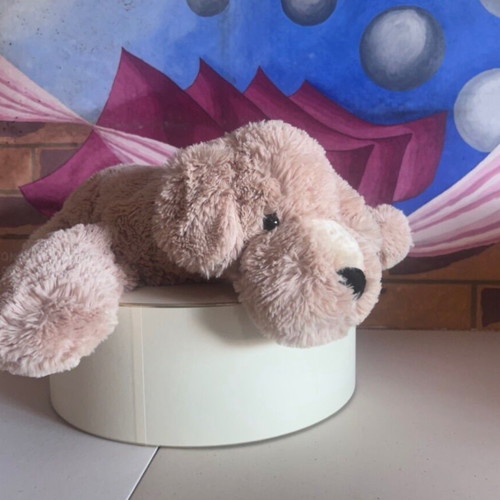 Big Floppy Plush Puppy dog like new, beige