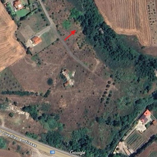 Agricultural land 4,000 m² buildable in residential area, Viotia, Livadeia