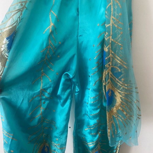 Jasmine costume from Disneyland with slight wear, size 7-8