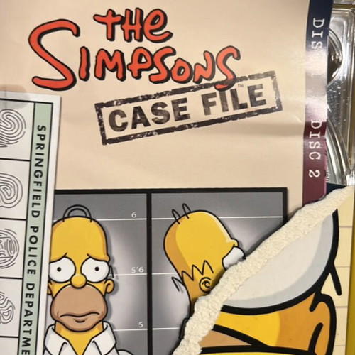 The Simpsons The Complete 6th Season DVD, collector's edition