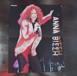A4 poster in good condition