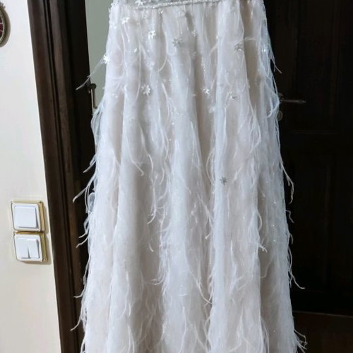 Wedding dress handmade used with embroidery, veil and feathers