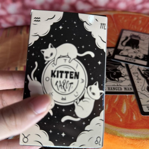 Kitten Tarot card deck like new, black and white cat illustrations