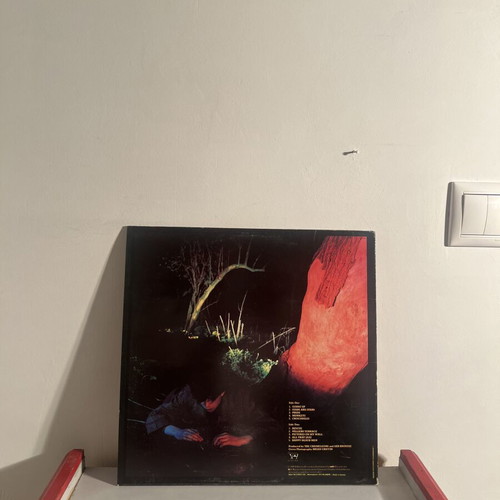 Echo & The Bunnymen Crocodiles vinyl LP used, post-punk classic 1980