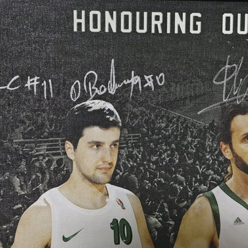 Panathinaikos Collectible Frame like new with Legends' Signatures