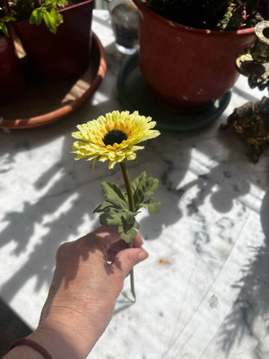 Artificial Daisy Flower like new