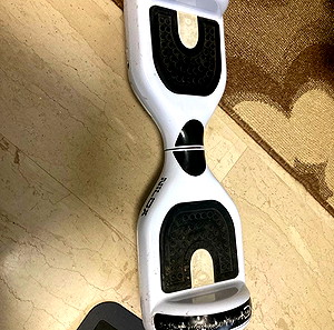 Hoverboard dog nilox