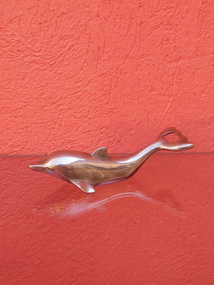 Dolphin Bottle Opener used