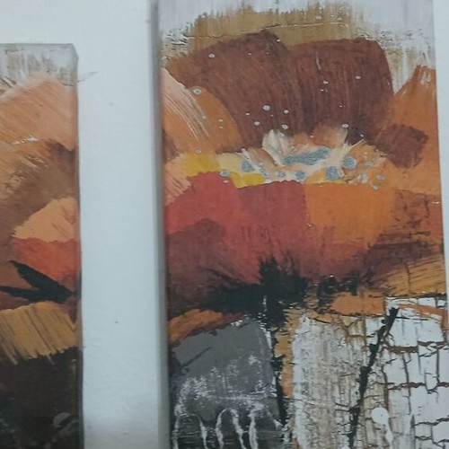 Triptych canvases like new, one 45x20cm and two 40x20cm