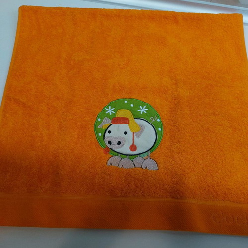 Clotsotiiras children's face towel new