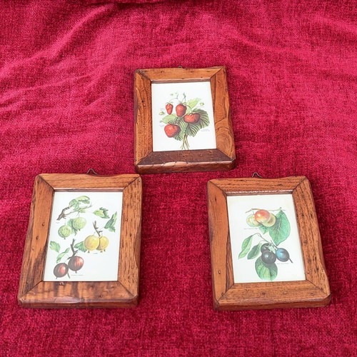 Wooden framed mini prints collection of 3, like new