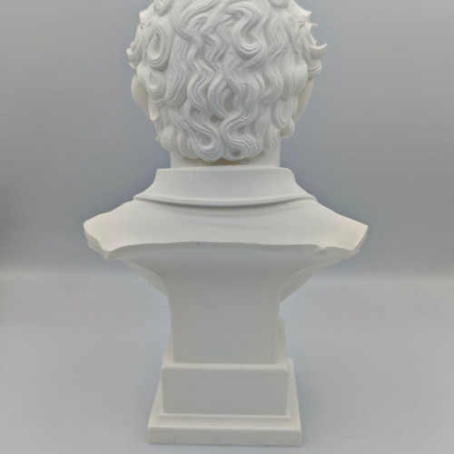 Ayrton Senna bust 3D print new