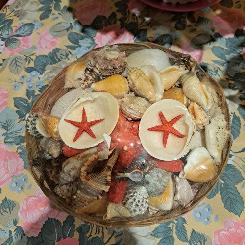Basket with real seashells new for summer decoration