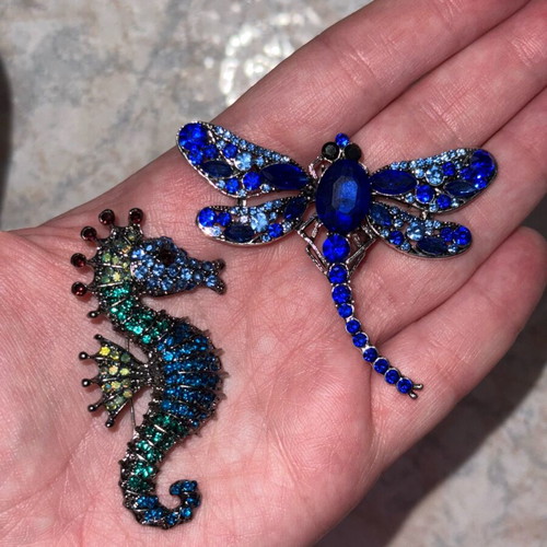 Seahorse and dragonfly pin set like new, blue