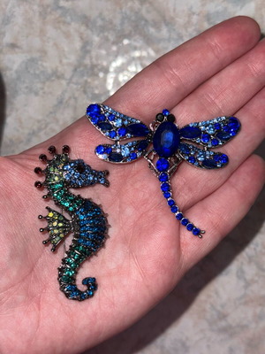 Seahorse and dragonfly pin set like new, blue