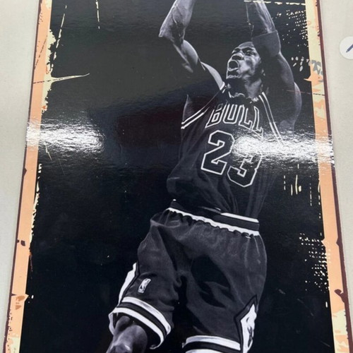 Basketball-themed picture new Monkey Jordan