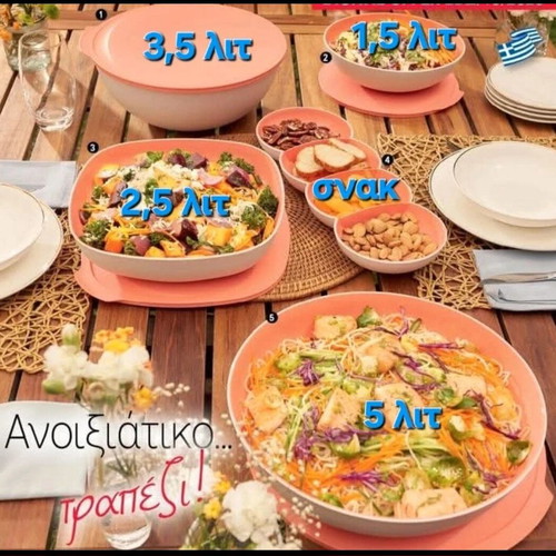 Allegra Tupperware series new with snack cover gift
