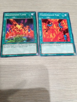 Burning Land and Tremendous Fire -  1,00 - Vendora.cy