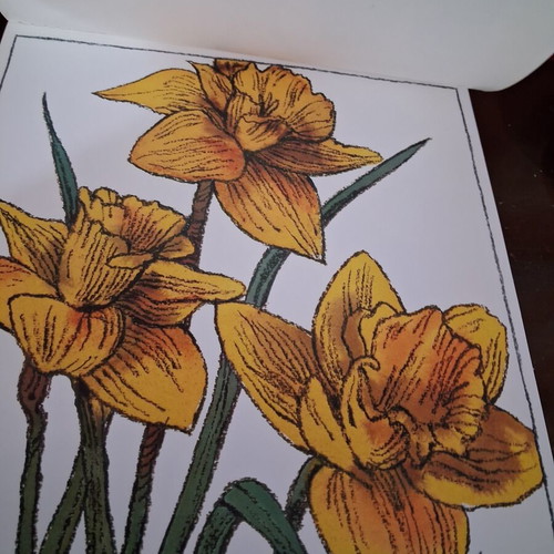 Vintage album with 12 botanical art prints by WINCH, like new