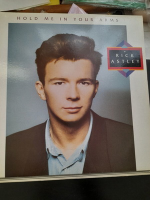Rick Astley Hold Me In Your Arms vinyl record used, pop