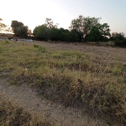 Land 800 m² in Paliouri Halkidiki with caravan placement option