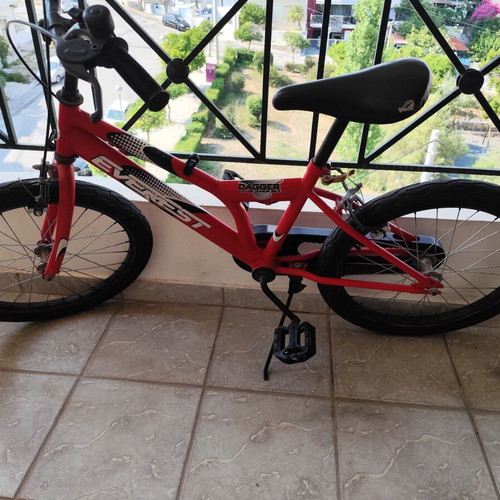 Everest Kids Bicycle used, 20 Inch, V-Brakes, red