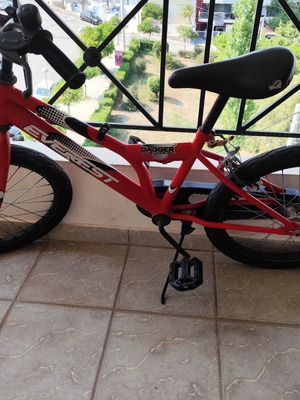 Everest Kids Bicycle used, 20 Inch, V-Brakes, red