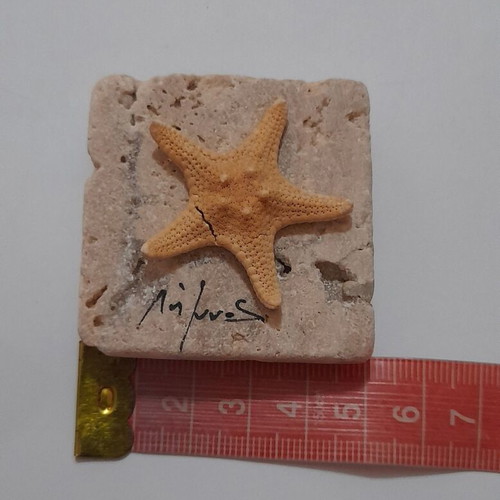 Handmade magnet from Limnos with natural porous stone and dried starfish