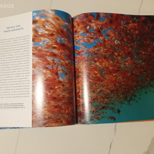 The Encyclopedia of Animals Volume 6 used, whales dolphins and sea mammals