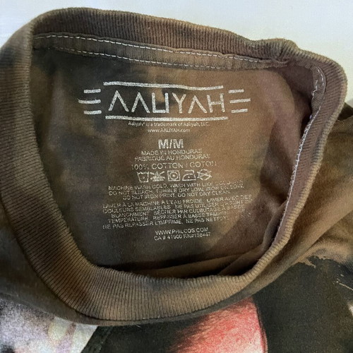 Aaliyah brown graphic T-shirt medium Y2K