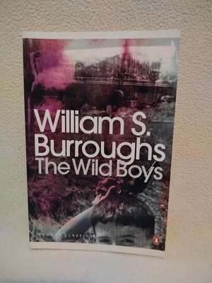 The Wild Boys by William S. Burroughs like new, English