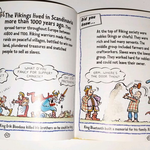 Big Bubblefacts History book like new, English