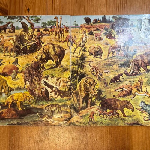 Prehistoric Animals sticker album by Panini used, 1980s edition