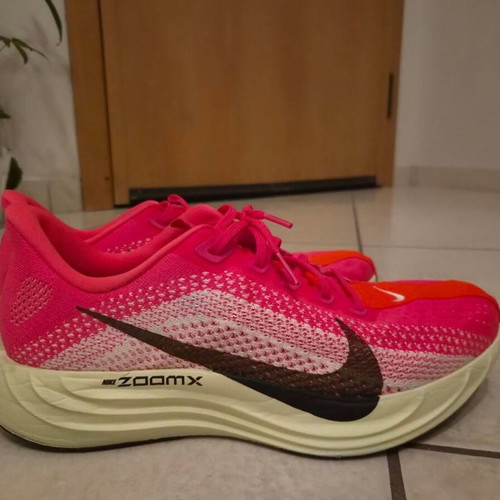 Nike Pegasus Plus running shoes, multicolor, size 44.5