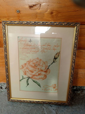 Rose framed print used, size 30-24 cm