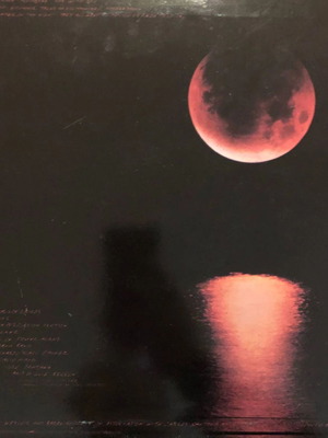 Vinyl Carlos Santana – Havana Moon, Rock, Latin Vinyl Record Like New