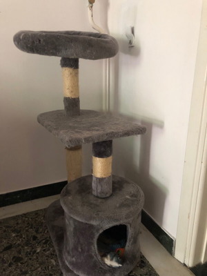 Котешка къща