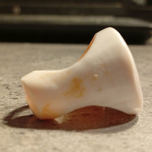 Bone ring with spiral design like new, orange