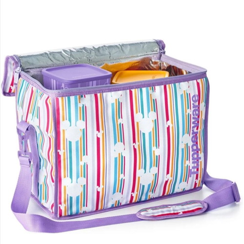 Disney Tupperware Insulated Picnic Bag new