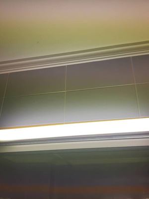 Fluorescent lamp used with switch