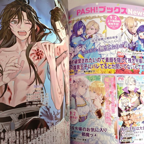 Push Japanese Anime Magazine September 2022 like new