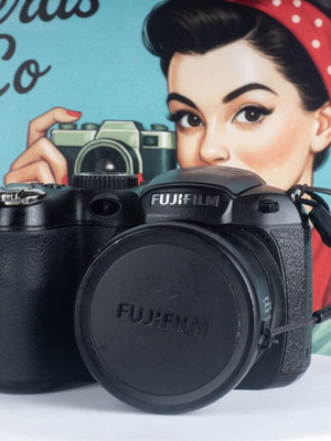 Fujifilm FinePix S2950 Bridge Digital Camera used