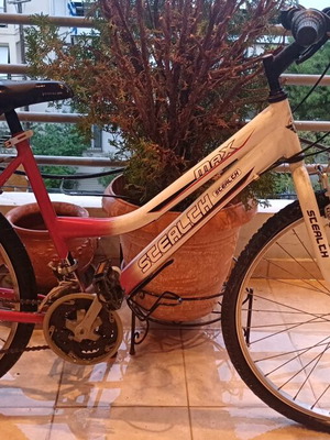 Stealth women's bicycle unused
