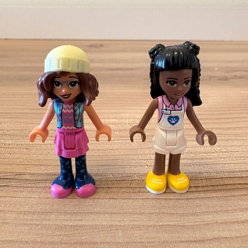 Lego Friends Pet Adoption Cafe set 41699 used