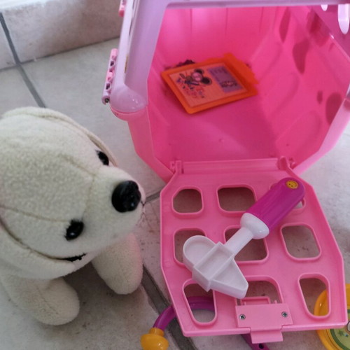 Dog Carrier Toy Like New with Veterinary Tools