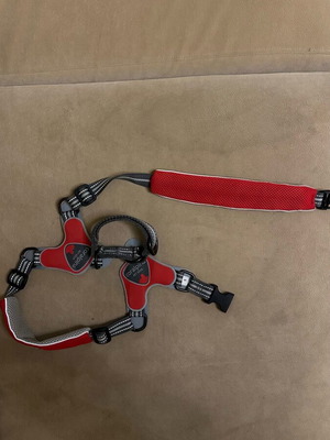 Coralpina harness for large dogs No 6 like new