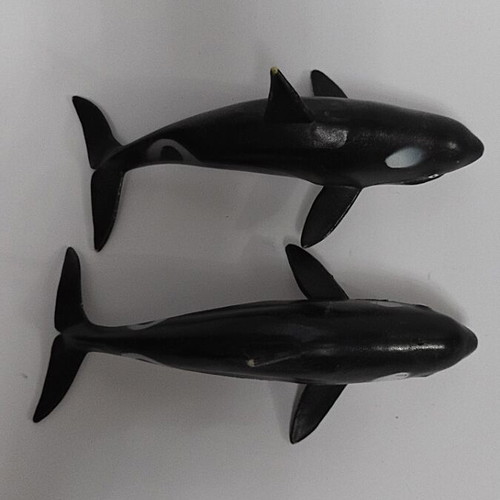 Whale like new