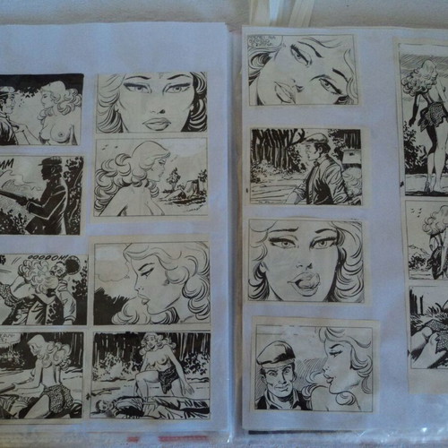 Tarzan collection of about 100 used illustrated clippings and stories