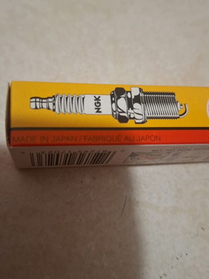 NGK spark plug new
